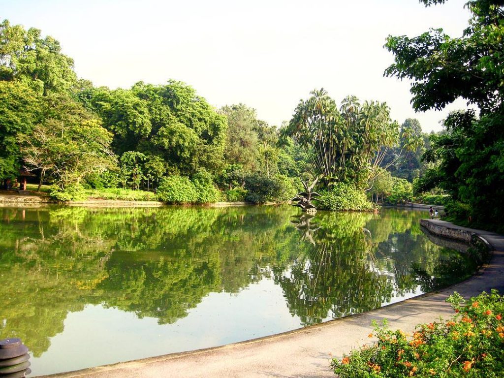 Botanic Gardens - Tempat wisata gratis di singapura
